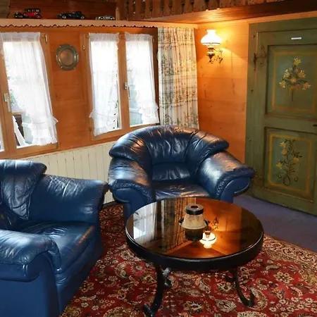 Le Vieux By Interhome Apartament Gstaad